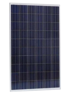 Trina Solar – TSM225PC05 / TSM230PC05 / TSM235PC05 / TSM240PC05